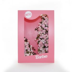 Barbie Box rental, event planning, party supplies, equipment rental, celebration, party rentals near me, professional setup